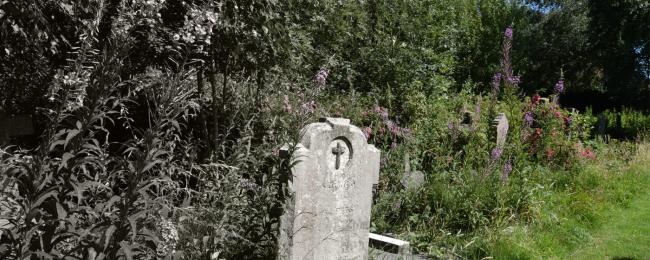 Colour comes to Heene Cemetery’s website: you can now search for flowering plants according to their colour.