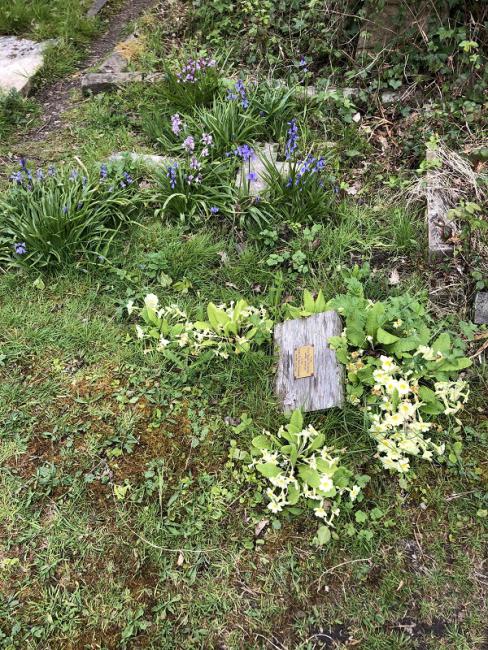 A maintenance programme to favour and encourage native plants is now the mainstay of the restoration work.