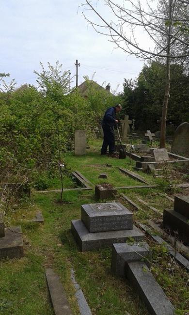 Planting Egremont Russet Apple Trees April 2015