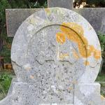 A Lichen on the Tilley family Gravestone