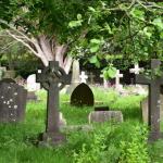 Love your Local Urban ‘Green Space’!