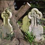 Branch-lopping sheds light in Heene Cemetery