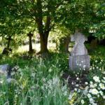 The biological vocabulary crisis in Heene Cemetery
