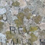 A First Look at Lichen in Heene Cemetery