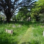 Heene Cemetery is a Local Wildlife Site