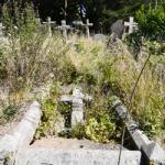 The natural history of a grave