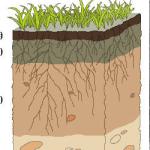 The Soil Profile of Heene Cemetery