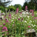 Why does Heene Cemetery look the way it does?