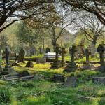 World Tuberculosis Day