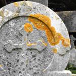 The natural history of a headstone