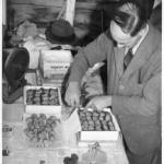 Edgar Magness Edgar Magness