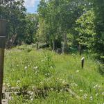 St. Michael's Graveyard