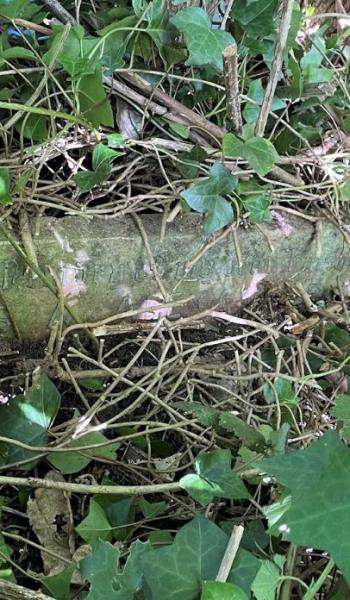 Image of the headstone for Amos Alexander
