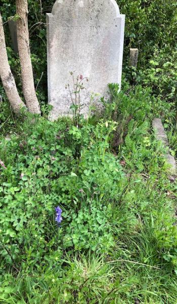 image of headstone for George Finnis