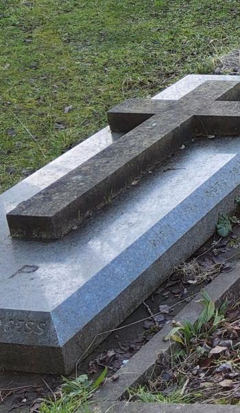 Image of headstone for Henry Burgess