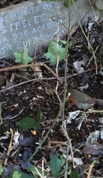 Harriett Steeles (buried 1931) headstone