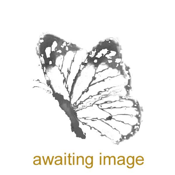 This is a common, widespread butterfly found in a range of habitats, and will even be seen flying on cool, overcast days.