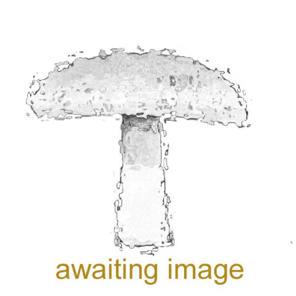 The greyish to pale brown cap is convex, then later depressed. 