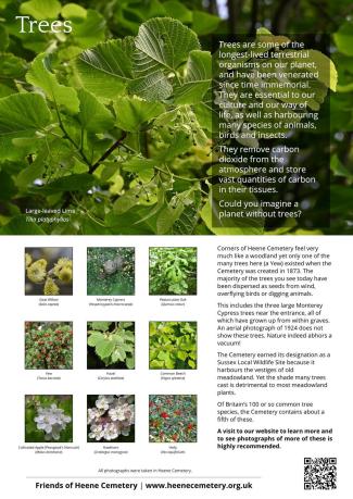 Friends of Heene Cemetery A3 poster - trees