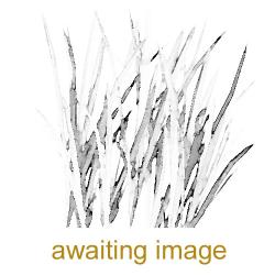 Upright Brome is a tufted and erect grass - a perennial. It can grow to a meter in height.