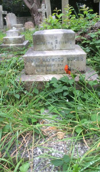 Eliza Morris (buried 1908) headstone