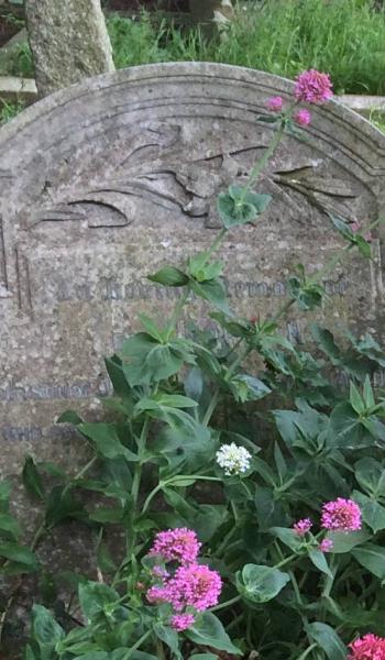 Florence Wenban Smith (buried 1887) headstone