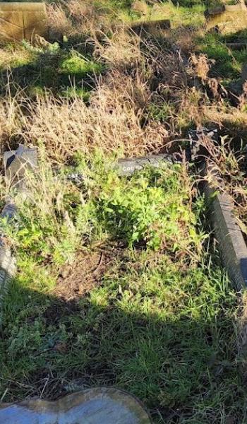 Image of the headstone for Reginald Arthur