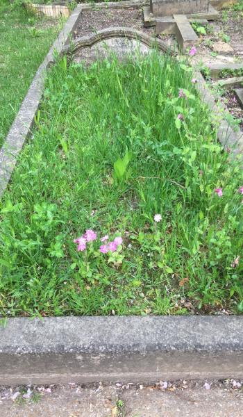 Image of the headstone for Richard Carew