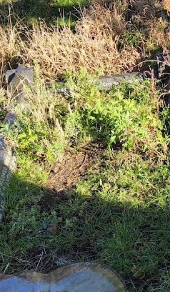 Image of headstone for Florence Sanderson