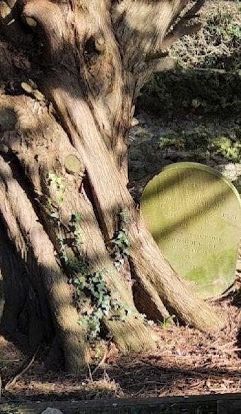 Image of headstone for Sarah Collett