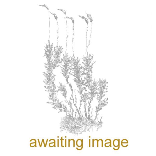 This is a widespread moss in urban areas, common in lawns and golf courses, as it favours unimproved or semi-improved grassland.