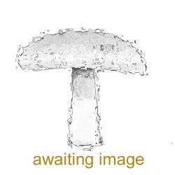 Twotone Funnel - awaiting image